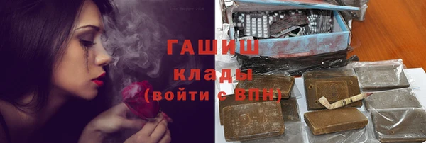 метадон Богданович