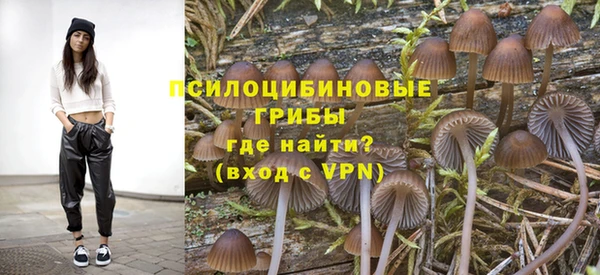 синтетический гашиш Богородск