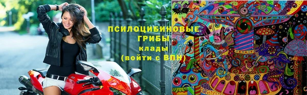 метадон Богданович
