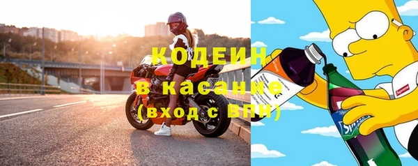 метадон Богданович