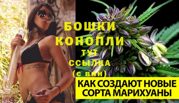 прущая мука Богородицк