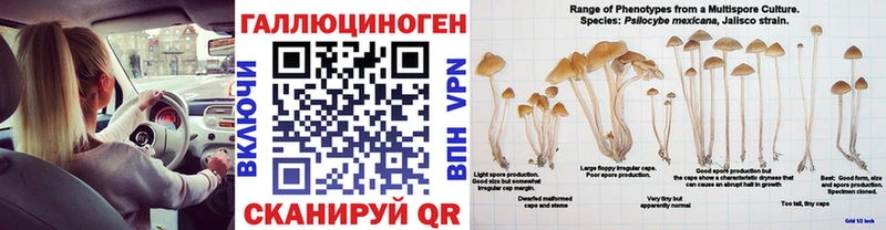 Галлюциногенные грибы Cubensis  Дорогобуж 